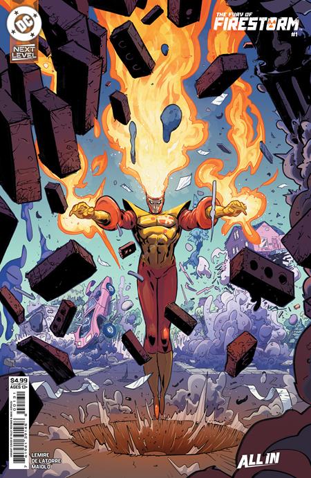 Fury Of Firestorm - Comics - Image - Pop Weasel