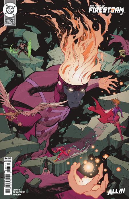 Fury Of Firestorm #3 (of 8)  D Stephen Green Card Stock Var