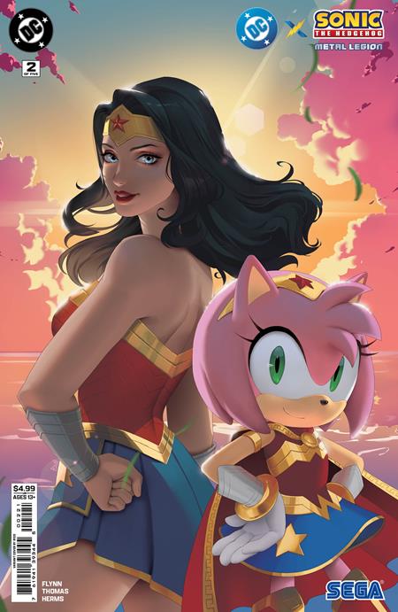 DC X Sonic The Hedgehog The Metal Legion - Comics - Image - Pop Weasel