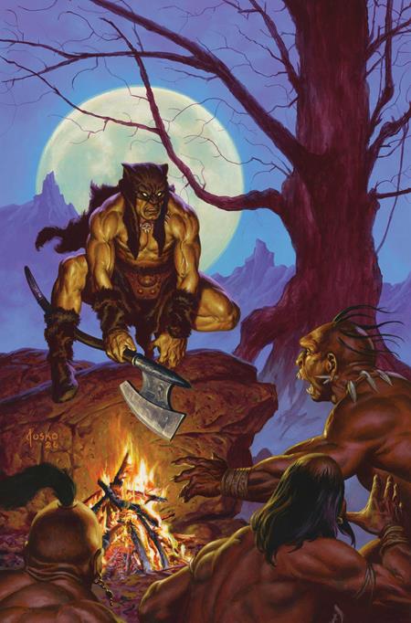 Fire And Ice Darkwolf - Comics - Image - Pop Weasel