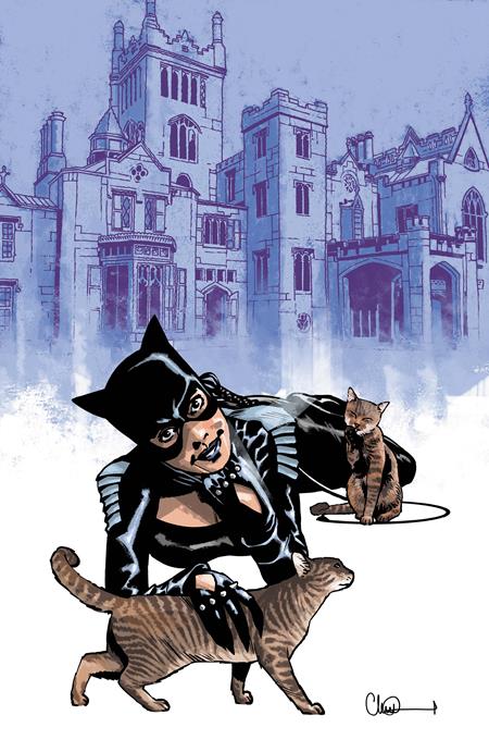 Catwoman - Comics - Image - Pop Weasel
