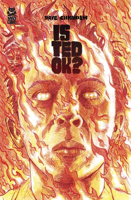 Is Ted Ok  | TPB - Graphic Novels - Image - Pop Weasel