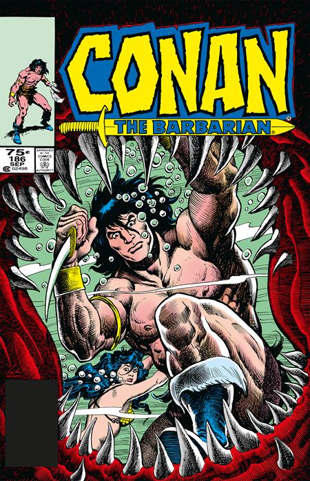 Conan The Barbarian The Original Comics Omnibus  | Hardcover Vol 07 Regular Edition Mike Docherty - Graphic Novels - Image - Pop Weasel