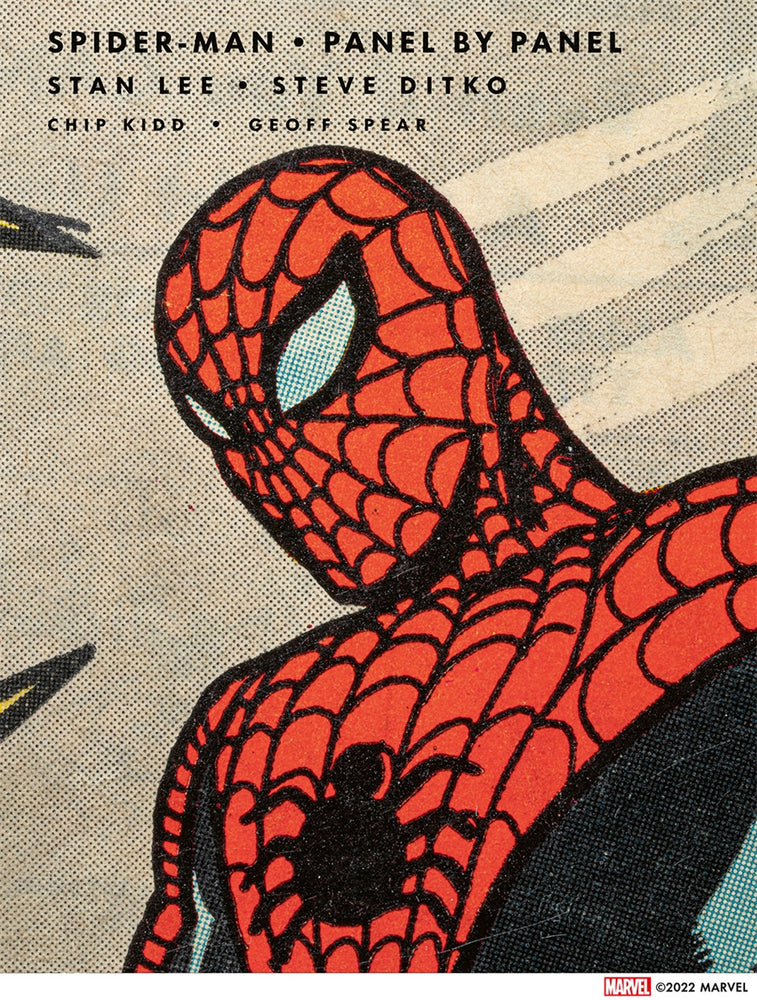 Pop Weasel Image of Spider-Man: Panel by Panel - Graphic Novels - Image - Pop Weasel