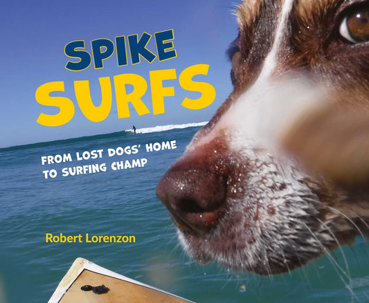 Spike Surfs