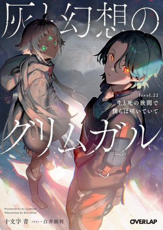 Grimgar of Fantasy and Ash (Light Novel) Vol. 22 | TPB - Manga - Image - Pop Weasel
