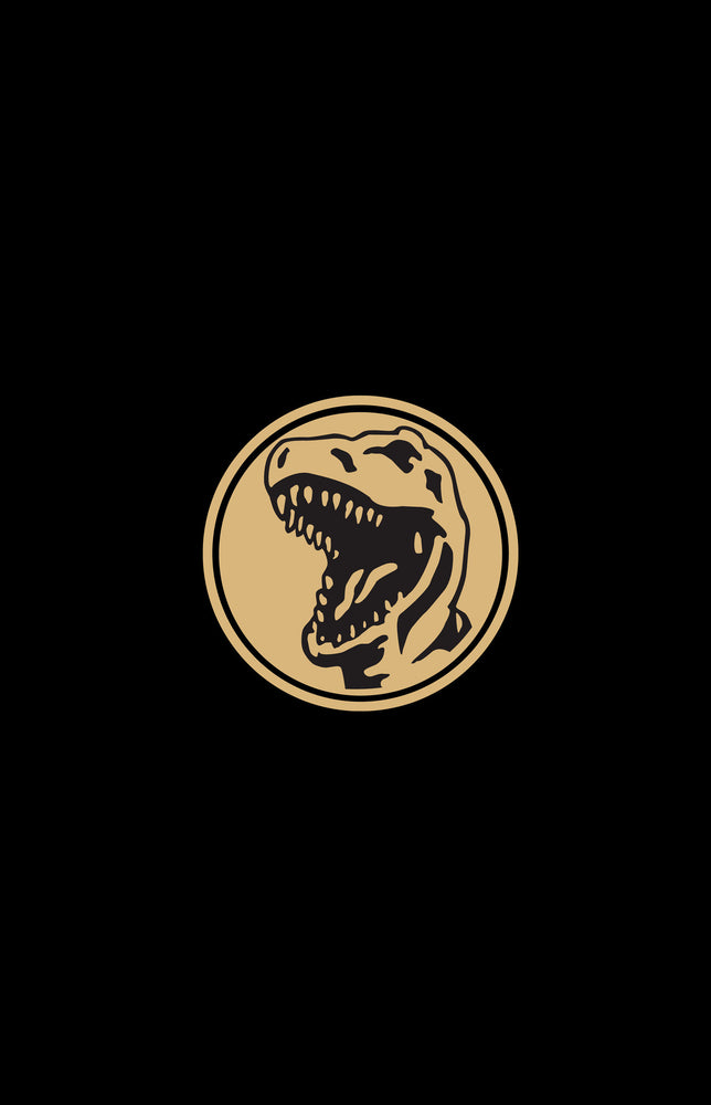 Mighty Morphin Power Rangers Year Two Limited Edition - Image - Graphic Novels - Image - Pop Weasel