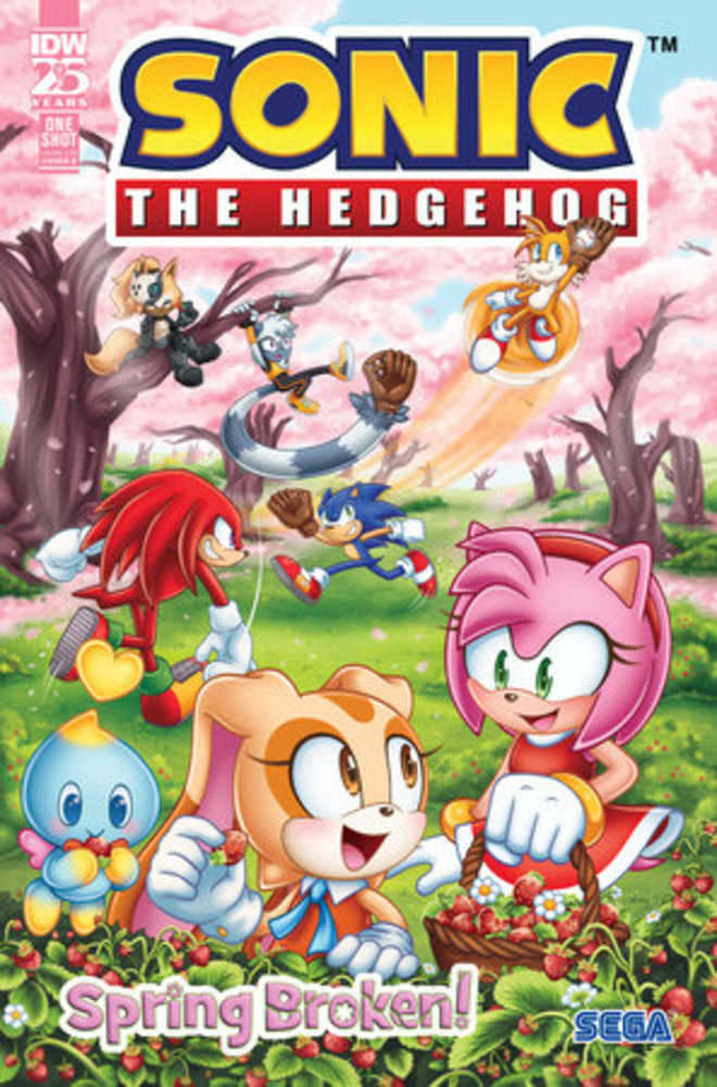 Sonic The Hedgehog Spring Broken - Comics - Image - Pop Weasel