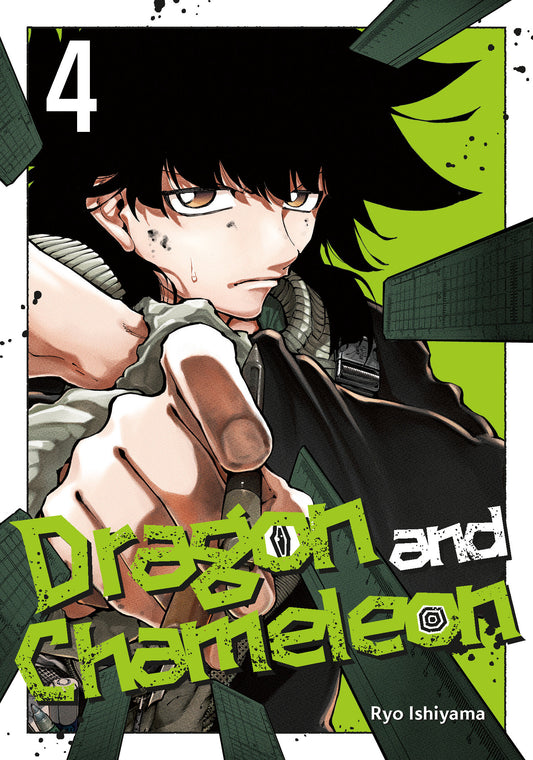 Dragon and Chameleon 04 - Image