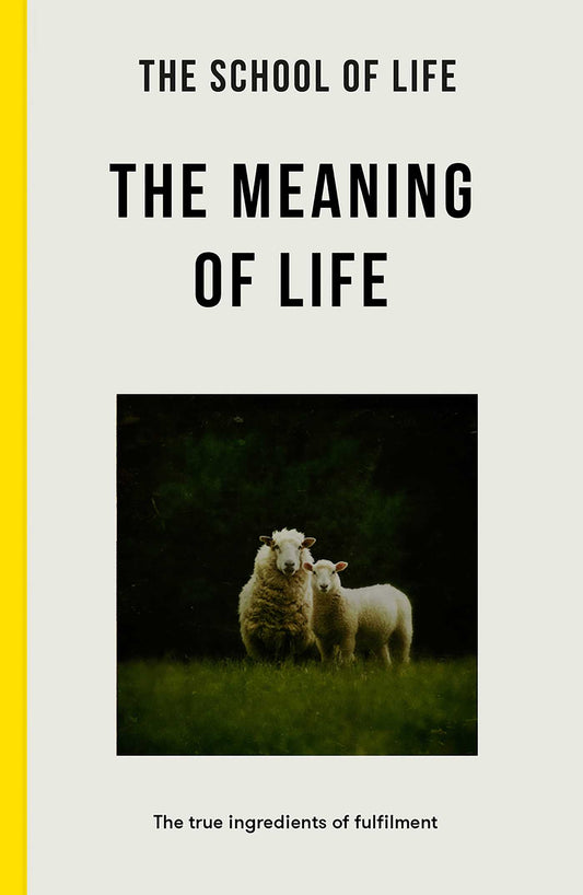 Meaning of Life image