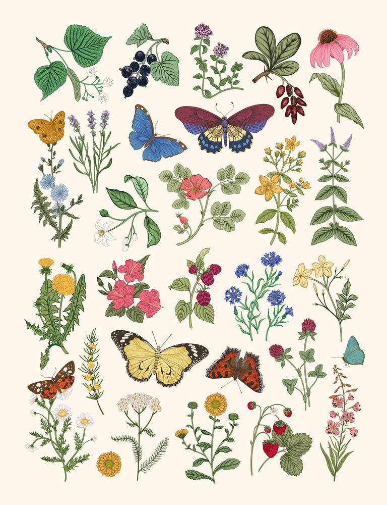 Botanical Embroidered Sketchbook - Books - Image - Pop Weasel