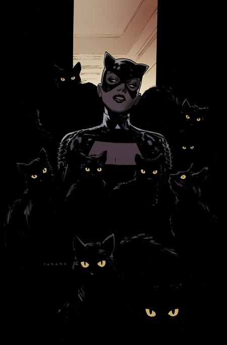 Catwoman - Comics - Image - Pop Weasel