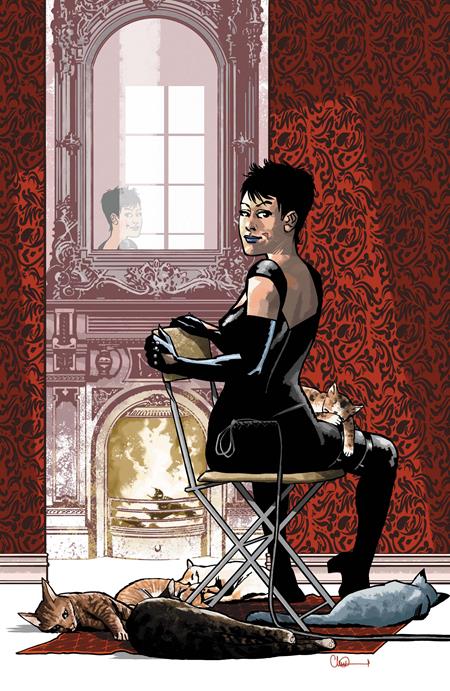 Catwoman - Comics - Image - Pop Weasel