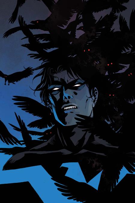Nightwing - Comics - Image - Pop Weasel