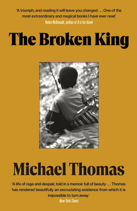 The Broken King: 'An Extraordinary Read' Guardian