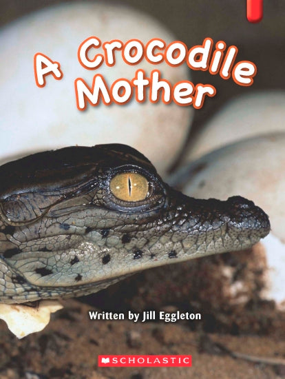 A Crocodile Mother - Books - Image - Pop Weasel