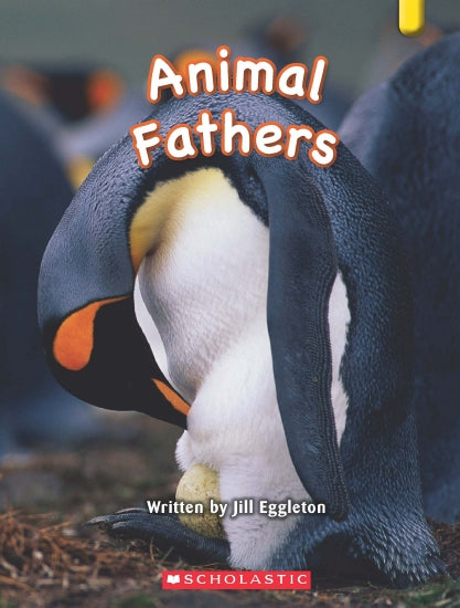 Animal Fathers - Books - Image - Pop Weasel