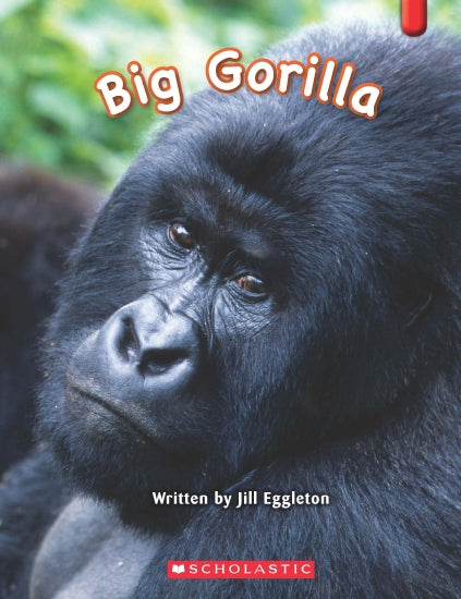 Big Gorilla - Books - Image - Pop Weasel