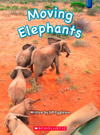 Moving Elephants - Books - Image - Pop Weasel