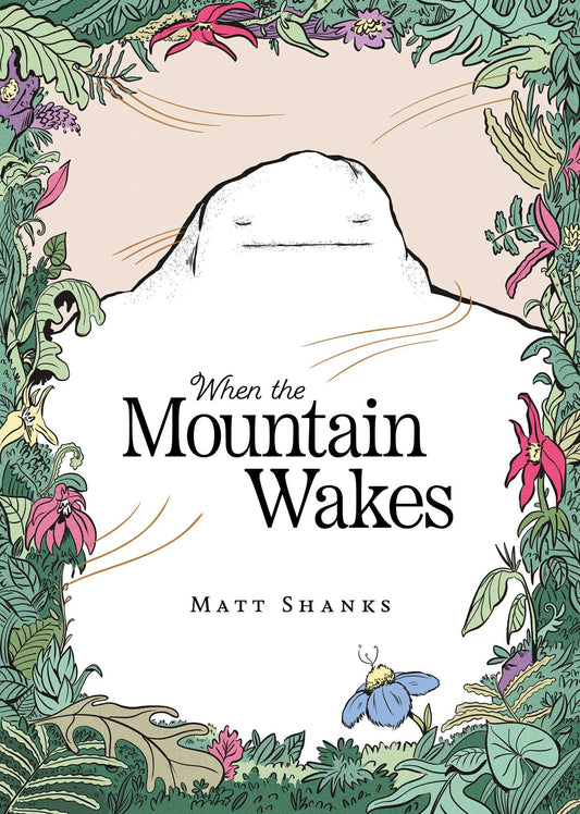 When the Mountain Wakes image