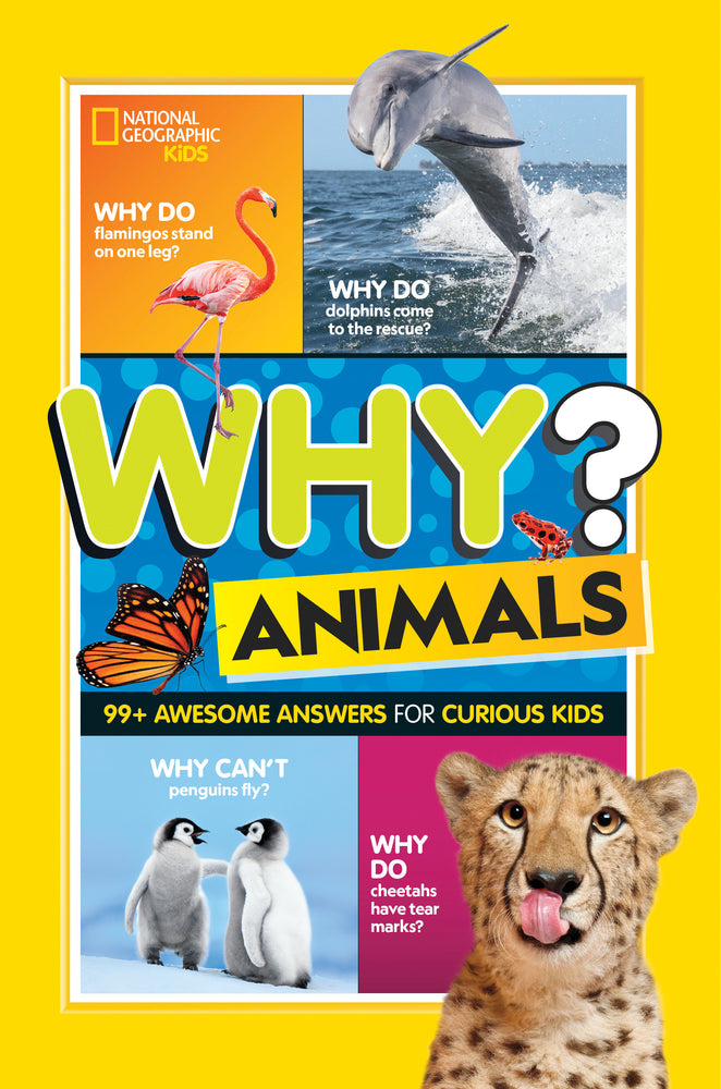 Why? Animals image - Children/Young Adult - Image - Pop Weasel