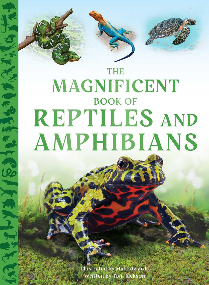 The Magnificent Book of Reptiles and Amphibians image - Childrens Books - Image - Pop Weasel