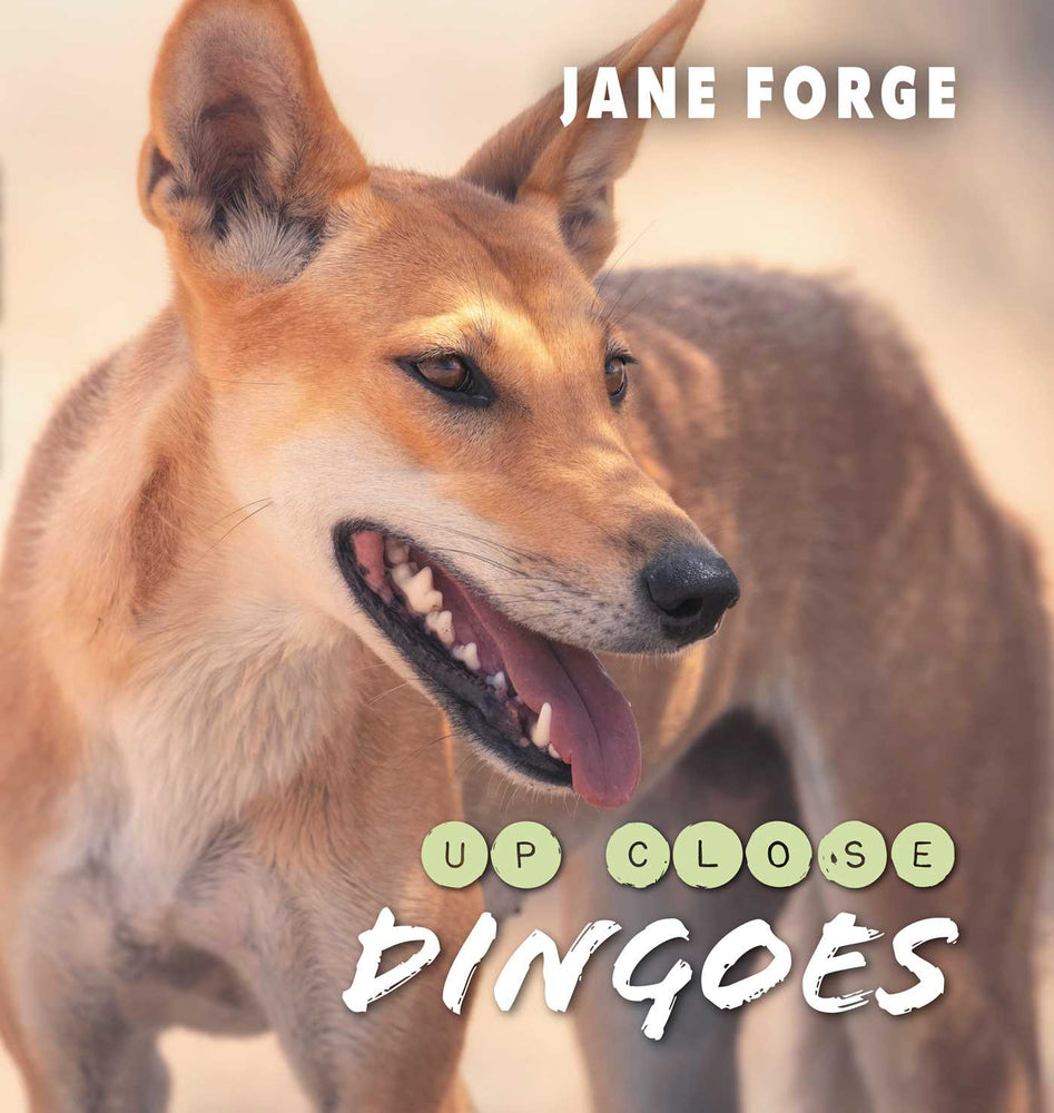 Dingoes Up Close - Childrens Books - Image - Pop Weasel