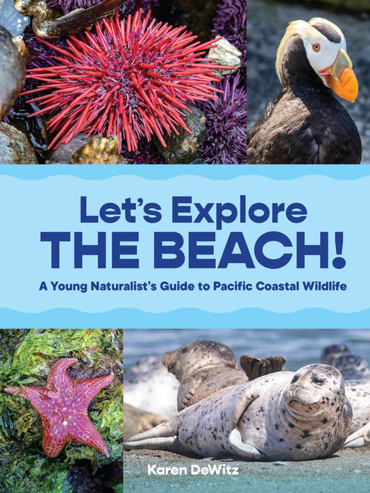 Let’s Explore the Beach! image