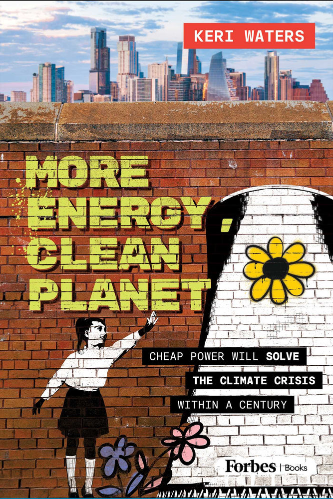More Energy, Clean Planet: Cheap Power Will Solve The Climate Crisis Within A Century - Books - Image - Pop Weasel