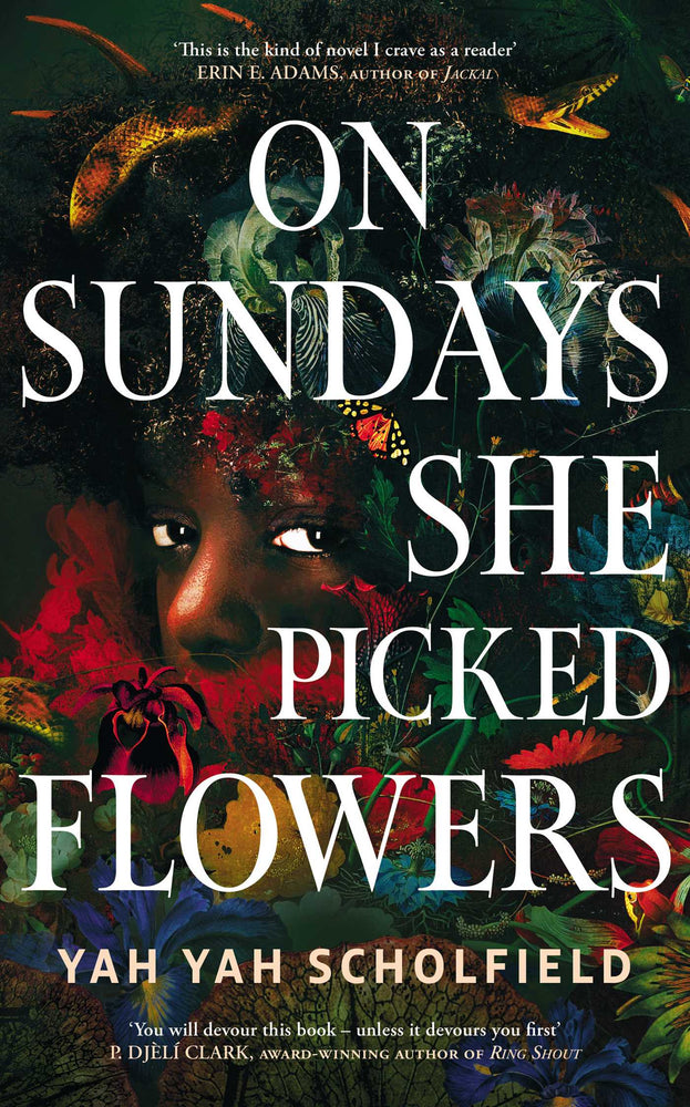 On Sundays She Picked Flowers: A haunting and lyrical Southern Gothic horror debut that will stay with you long after you turn the final page - Books - Image - Pop Weasel