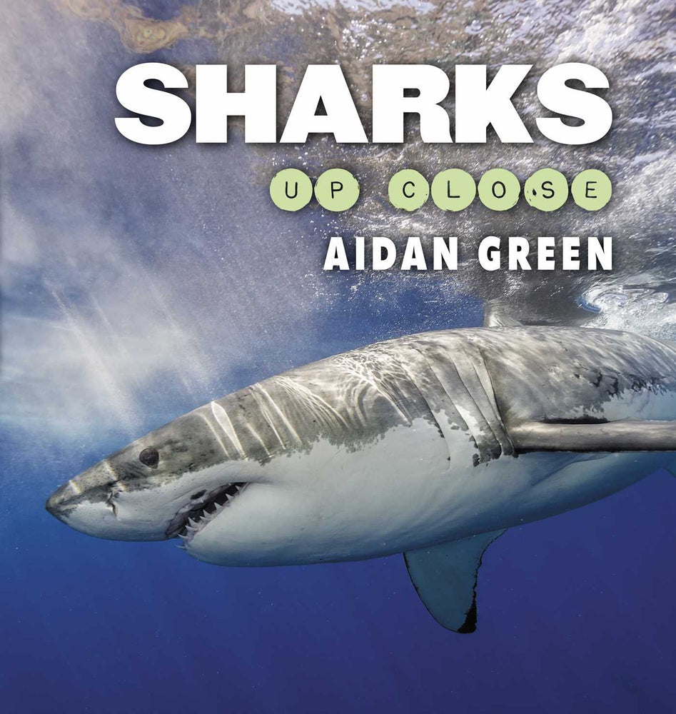 Sharks Up Close - Childrens Books - Image - Pop Weasel