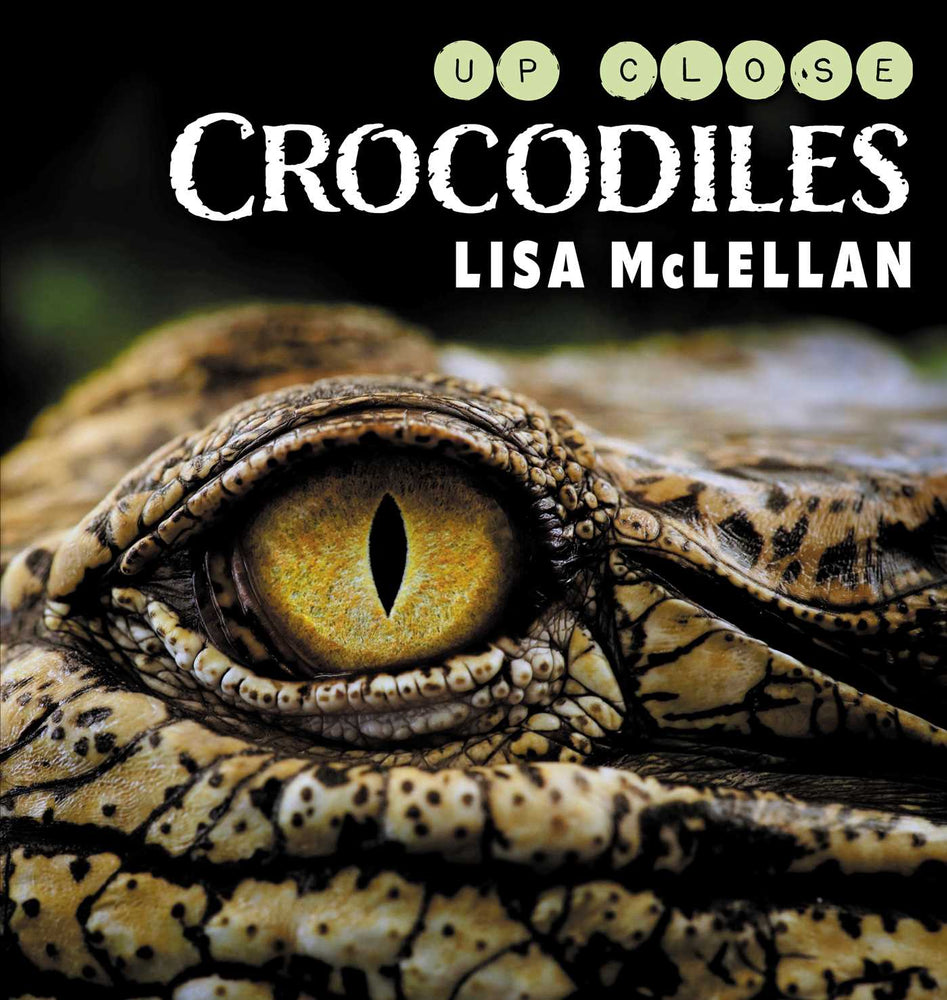Crocodiles Up Close - Childrens Books - Image - Pop Weasel