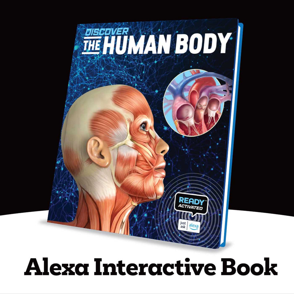 Discover: The Human Body (Ready Activated: A Readyland Alexa Interactive Book): Books You Can Talk to with Amazon Alexa and Echo by Readyland - Childrens Books - Image - Pop Weasel