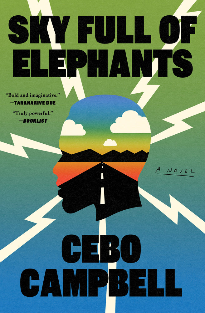 Sky Full Of Elephants: A Novel - Books - Image - Pop Weasel