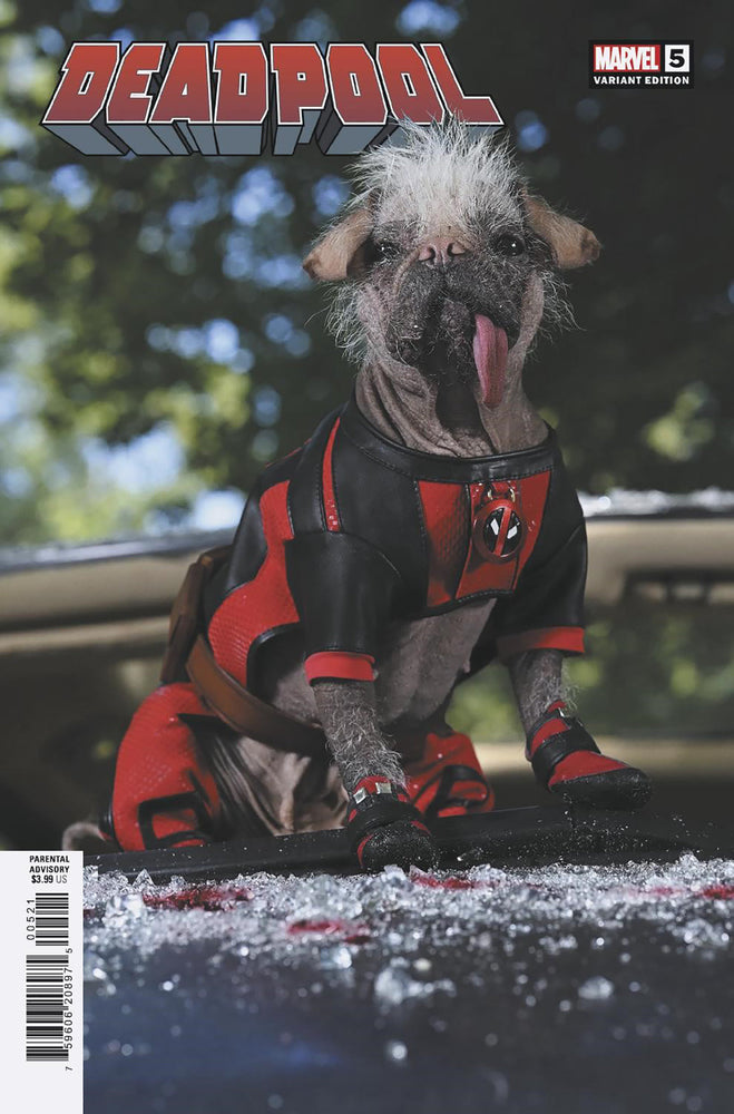 DEADPOOL - Comics - Image - Pop Weasel