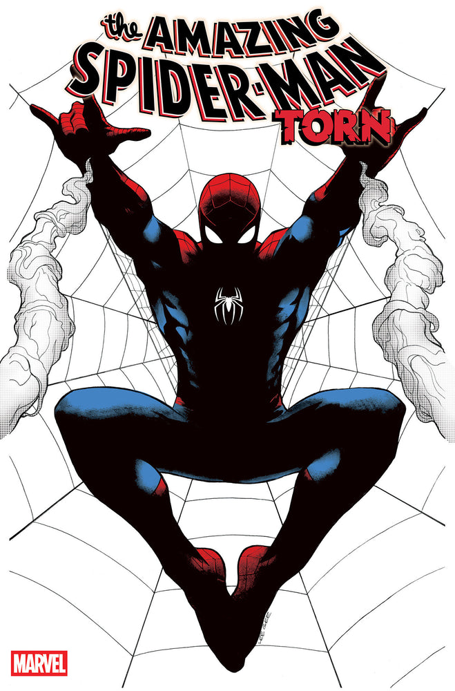 AMAZING SPIDER-MAN: TORN - Comics - Image - Pop Weasel