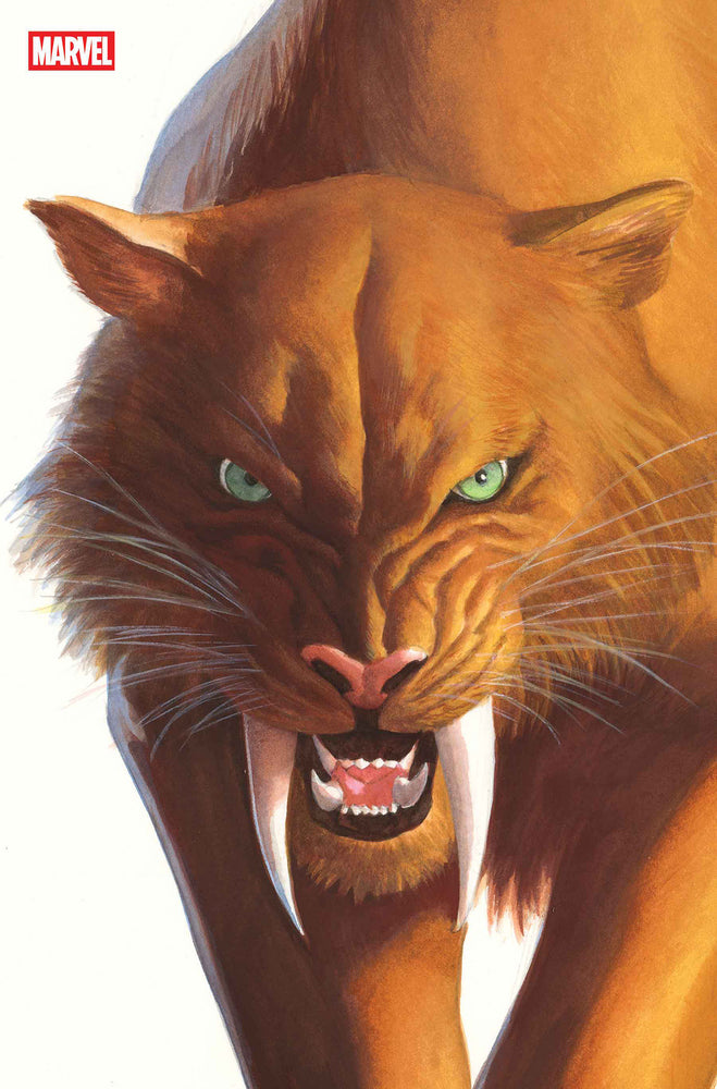 BLACK CAT - Comics - Image - Pop Weasel