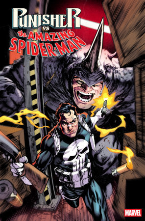 Punisher Vs. Spider-Man - Comics - Image - Pop Weasel