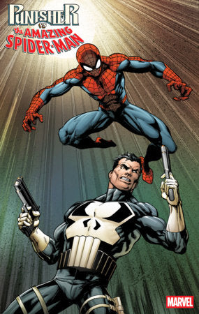 Punisher Vs. Spider-Man - Comics - Image - Pop Weasel