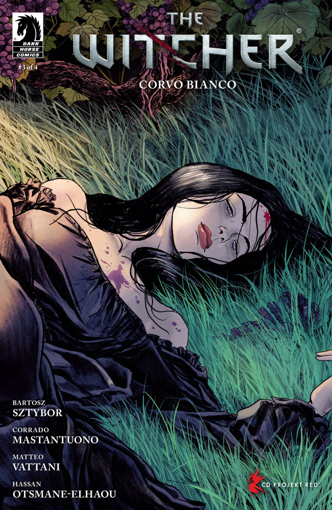 The Witcher: Corvo Bianco - Comics - Image - Pop Weasel