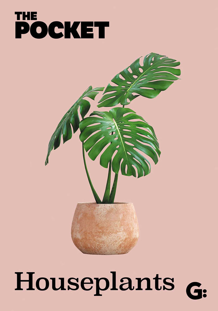 Pocket Houseplants - Books - Image - Pop Weasel