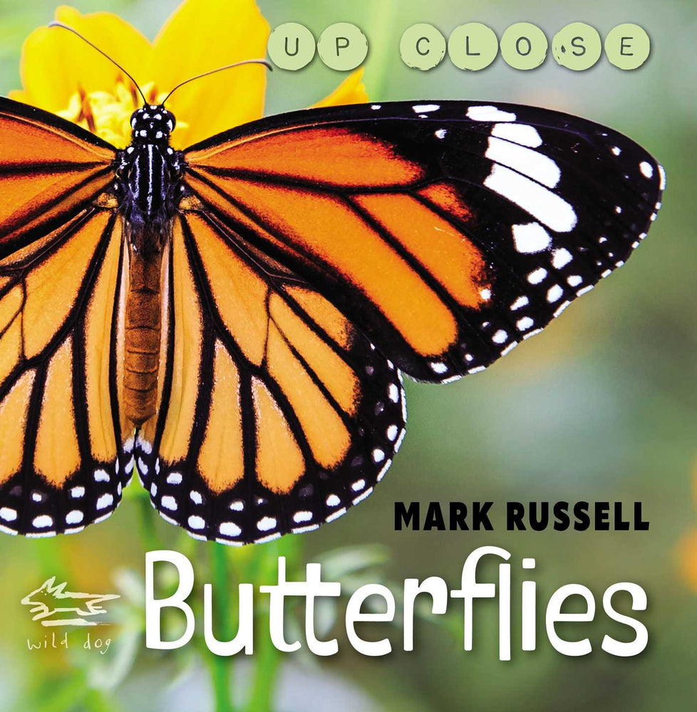 Butterflies - Childrens Books - Image - Pop Weasel