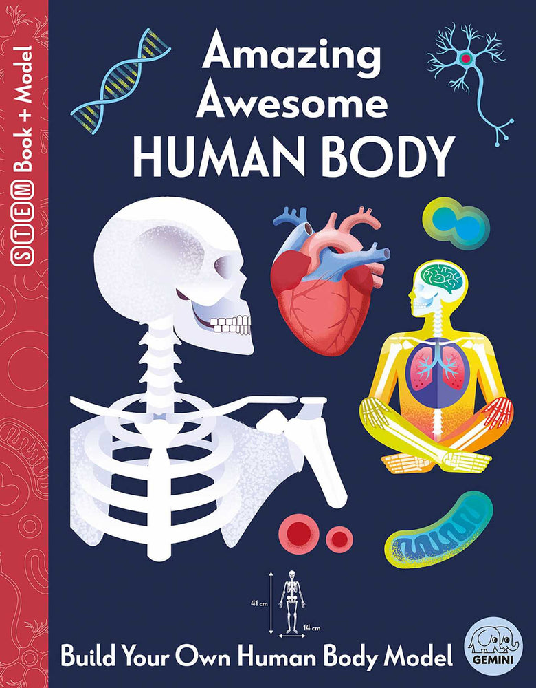Amazing Awesome Human Body STEM Book + Model Kit - Childrens Books - Image - Pop Weasel