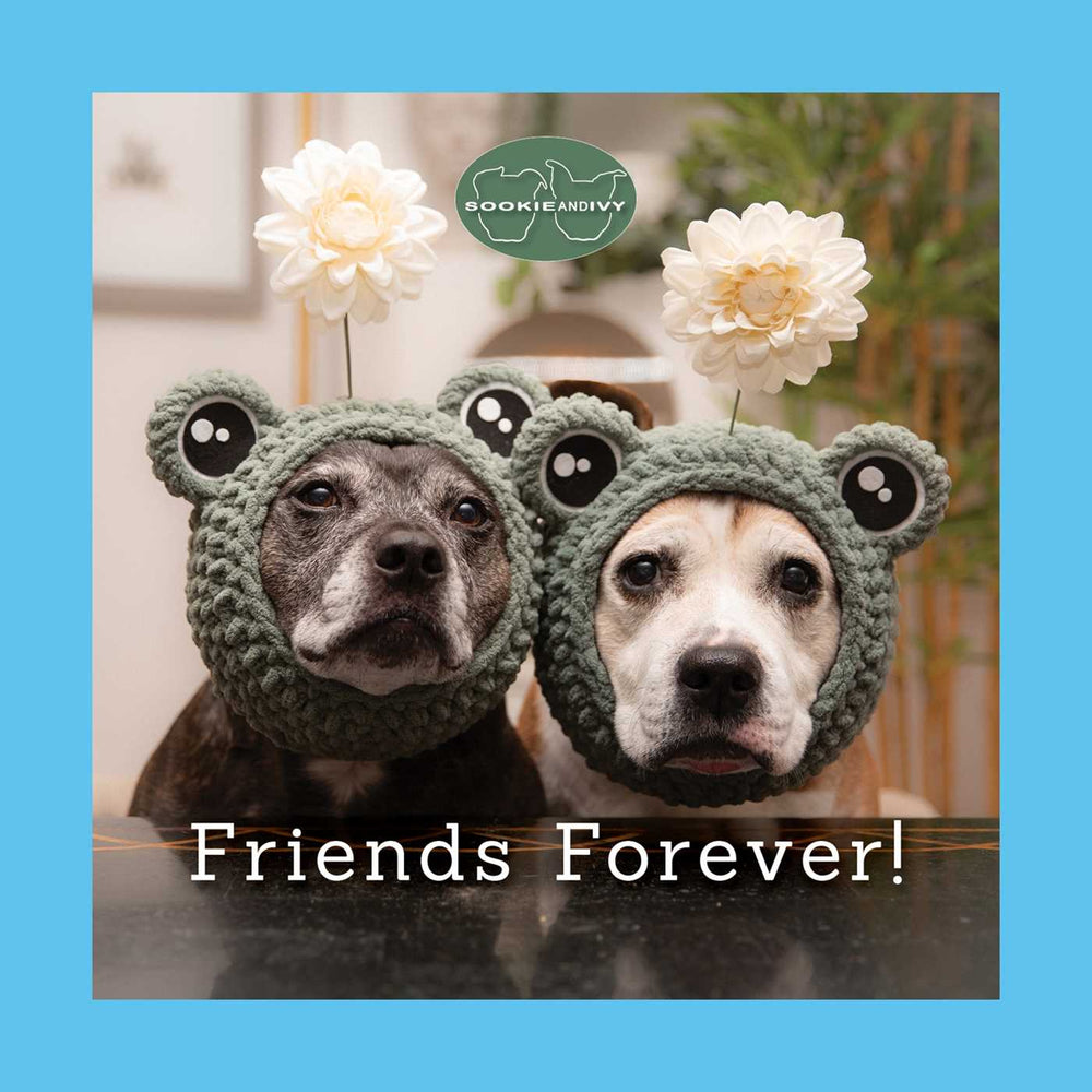 Sookie and Ivy Friends Forever! - Novelty - Image - Pop Weasel