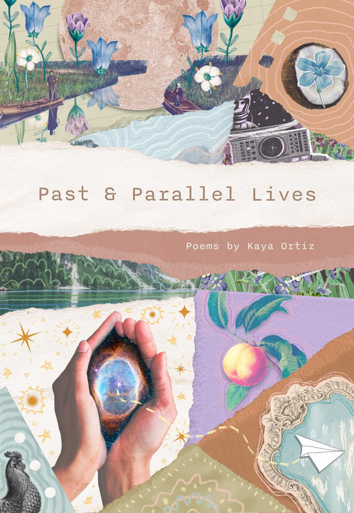Past & Parallel Lives - Books - Image - Pop Weasel