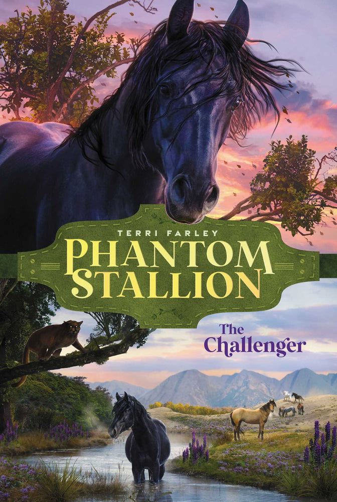 The Challenger - Childrens Books - Image - Pop Weasel
