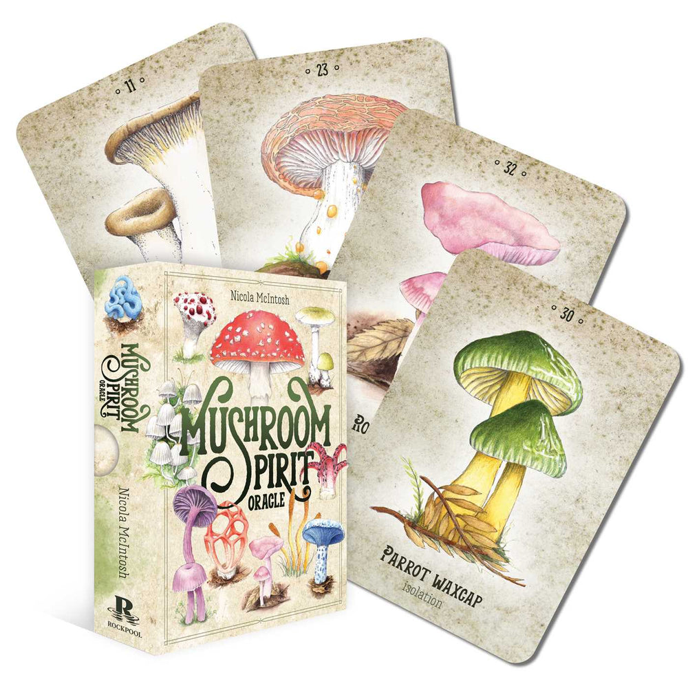 Mushroom Spirit Oracle - Books - Image - Pop Weasel