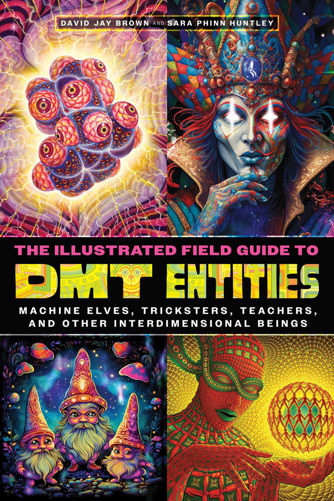 The Illustrated Field Guide to DMT Entities Machine Elves, Tricksters, Teachers, and Other Interdimensional Beings image - Books - Image - Pop Weasel