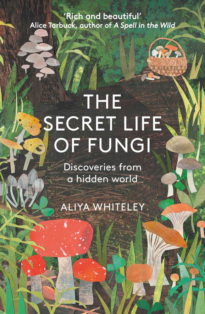 The Secret Life of Fungi: Discoveries from a Hidden World - Books - Image - Pop Weasel