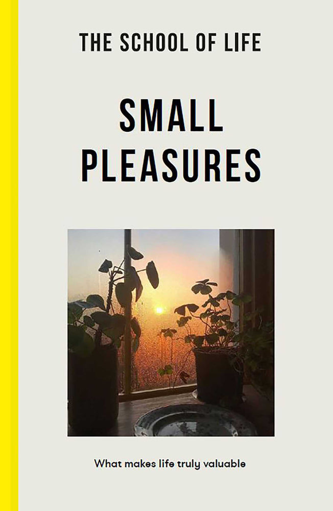 Small Pleasures: What makes life truly valuable - Books - Image - Pop Weasel